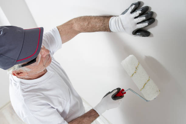 Best Basement Mold Removal  in Powder Springs, GA