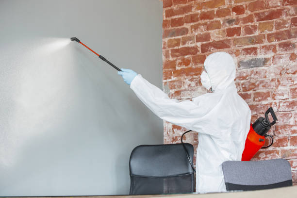Best Mold-Related Health Consultation  in Powder Springs, GA
