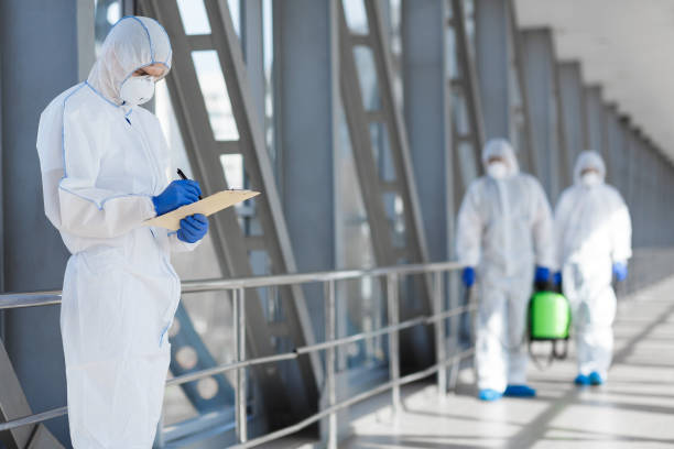 Best Mold Odor Removal Services  in Powder Springs, GA