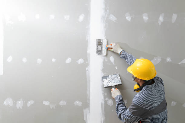 Best Real Estate Mold Inspection  in Powder Springs, GA