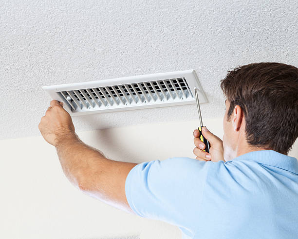 Best Emergency Mold Remediation  in Powder Springs, GA
